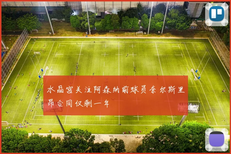 水晶宫关注阿森纳前球员奈尔斯里昂合同仅剩一年