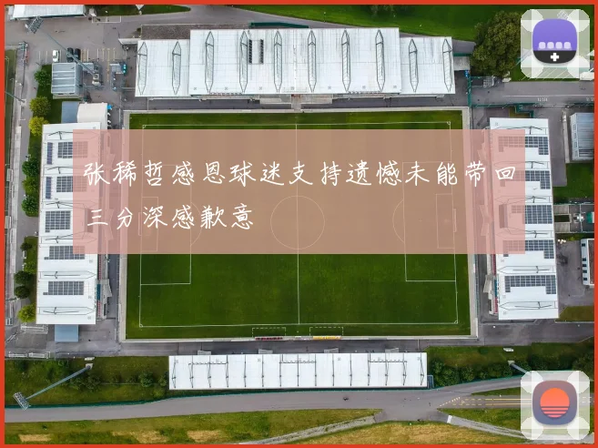 张稀哲感恩球迷支持遗憾未能带回三分深感歉意