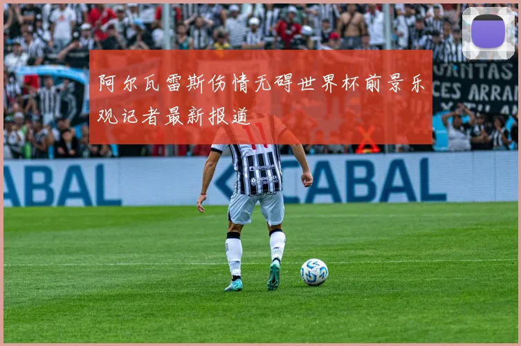 阿尔瓦雷斯伤情无碍世界杯前景乐观记者最新报道